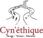 Cyn'éthique